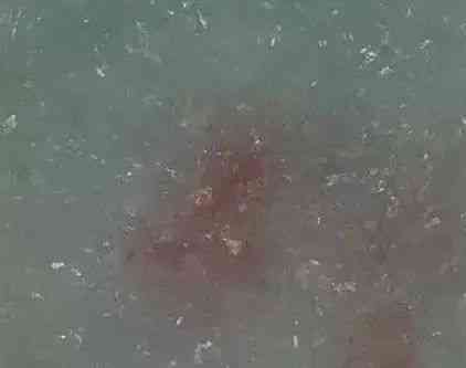 翡翠怎么辨別真假(玻璃種翡翠怎么辨別真假)插圖3