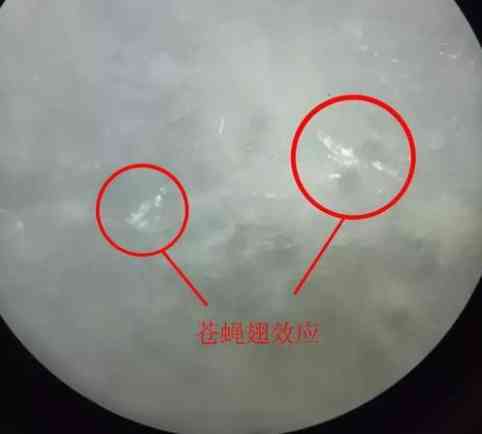 翡翠怎么辨別真假(玻璃種翡翠怎么辨別真假)插圖7