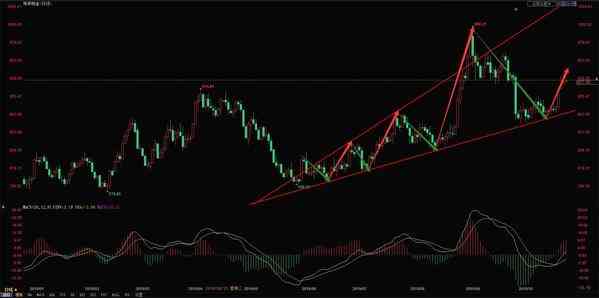 目前鉑金多少錢一克(鉑金多少錢一克回收pt950)插圖1