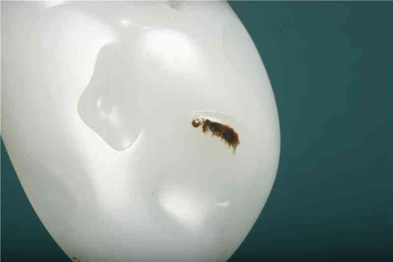 羊脂玉值不值錢(羊脂玉值得收藏嗎)插圖4