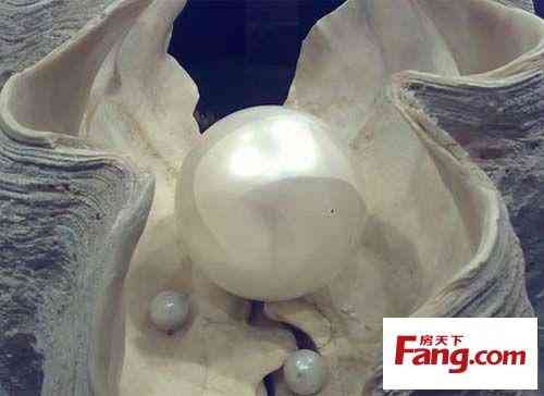 珍珠在風水上的作用(真假珍珠的10種鑒別方法)插圖9