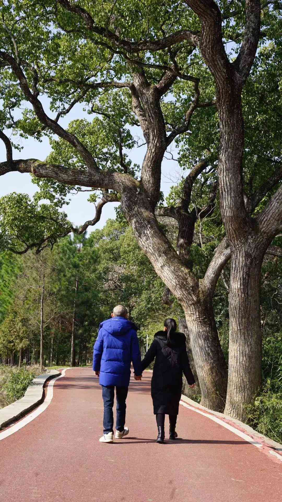 白金耳釘大概多少錢(白金耳釘好處)插圖10