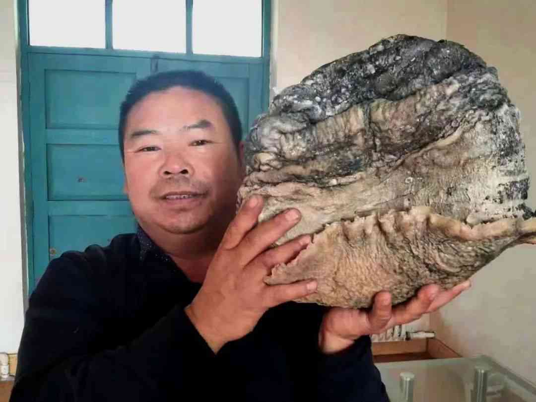 那種黑色石頭值錢(那種黑色石頭值錢大全)插圖2