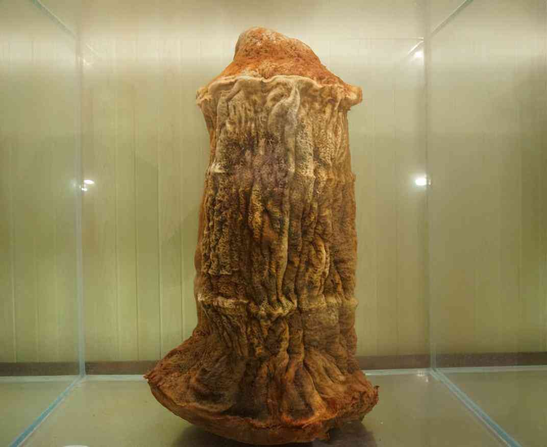 那種黑色石頭值錢(那種黑色石頭值錢大全)插圖6