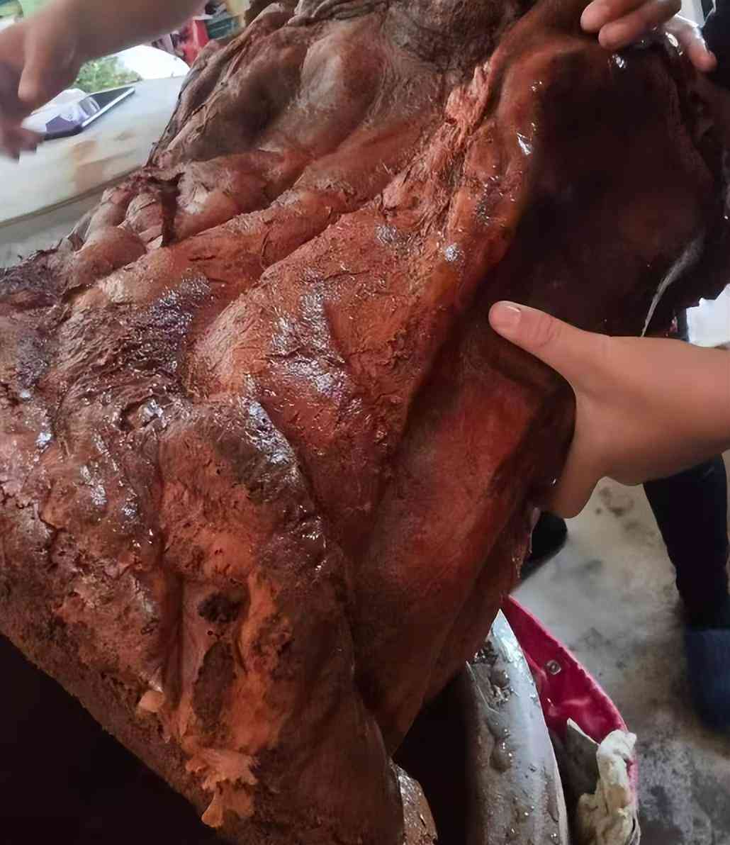 那種黑色石頭值錢(那種黑色石頭值錢大全)插圖9