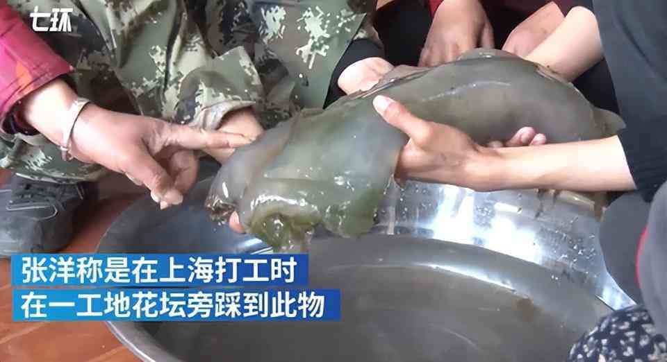 那種黑色石頭值錢(那種黑色石頭值錢大全)插圖10