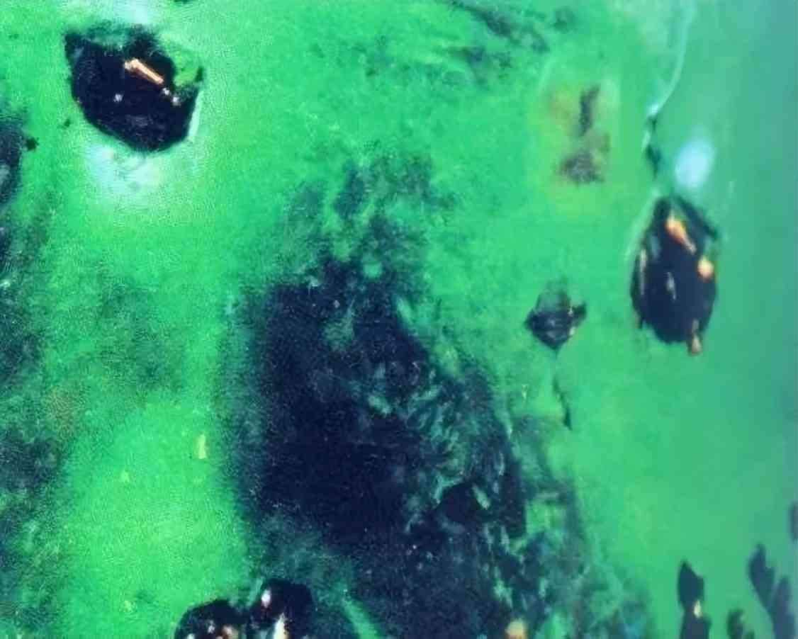 祖母綠戒指一般多少錢(qián)(祖母綠戒指一般多少錢(qián)一對(duì))插圖12