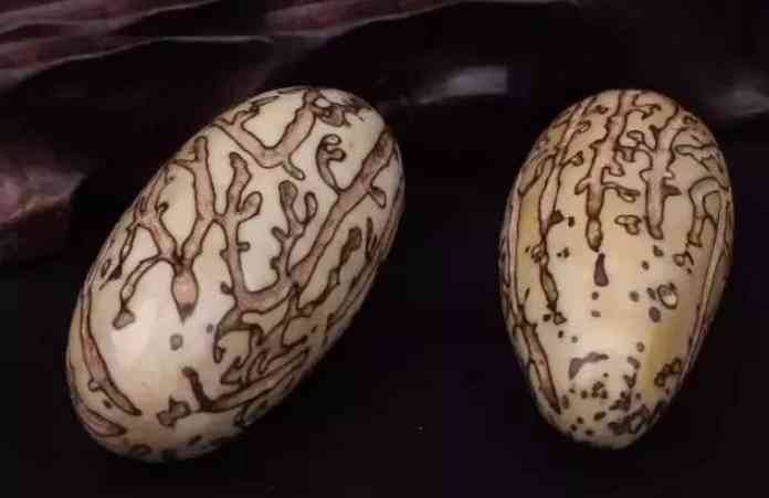 菩提子手串有什么好處(怎么鑒定菩提根手串真假)插圖3