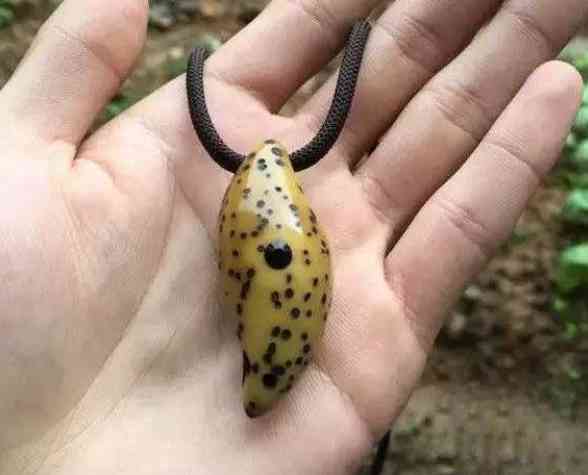 菩提子手串有什么好處(怎么鑒定菩提根手串真假)插圖9