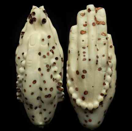 菩提子手串有什么好處(怎么鑒定菩提根手串真假)插圖12