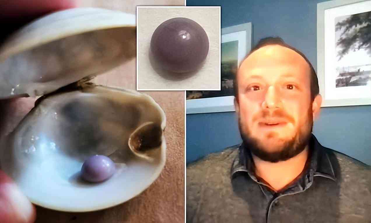 珍珠的價格多少錢一粒(真正的珍珠項鏈多少錢)