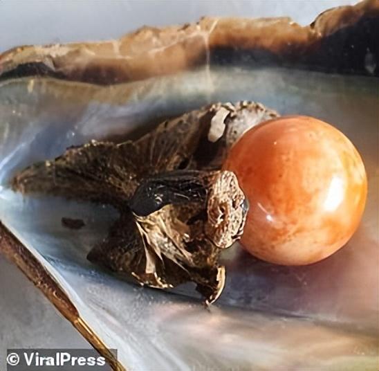 珍珠的價格多少錢一粒(真正的珍珠項鏈多少錢)插圖4