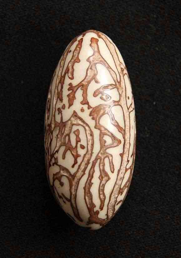 千眼菩提什么紋是極品(把千眼菩提送人能害人)插圖1