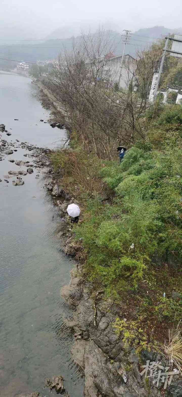 石隕石價(jià)格多少錢一克(石隕石現(xiàn)在市場(chǎng)價(jià))插圖4