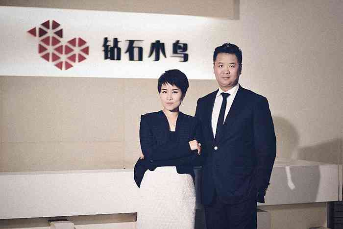 鉆石小鳥屬于什么檔次(鉆石小鳥算哪個(gè)檔次)插圖1