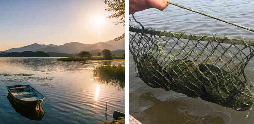 淡水珍珠不值錢嗎(戴海水珍珠好還是淡水珍珠好)插圖10