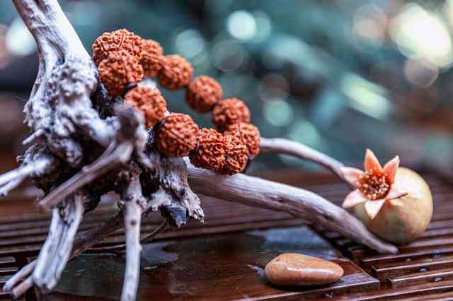 千眼菩提的危害(菩提子不能亂戴)插圖17