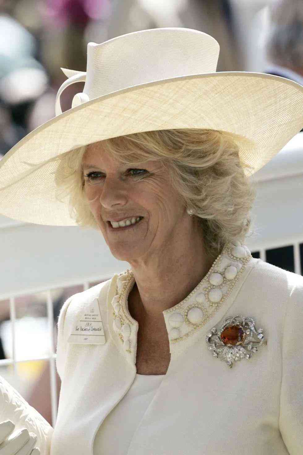 托帕石是天然寶石嗎(倫敦藍(lán)托帕石是天然寶石嗎)插圖39