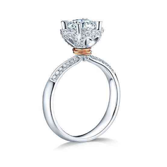 dr鉆戒的寓意(dr的寓意)插圖5