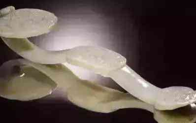 玉牌佩戴的禁忌(五大生肖不適合戴玉)插圖3