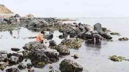 彩虎眼石的功效與作用(彩虎眼石價格一般多少錢)