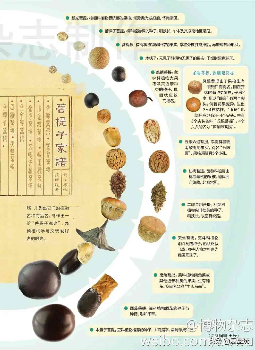 菩提手串種類(金剛菩提手串多少顆好)插圖1