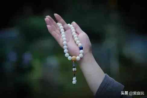 菩提手串種類(金剛菩提手串多少顆好)插圖13