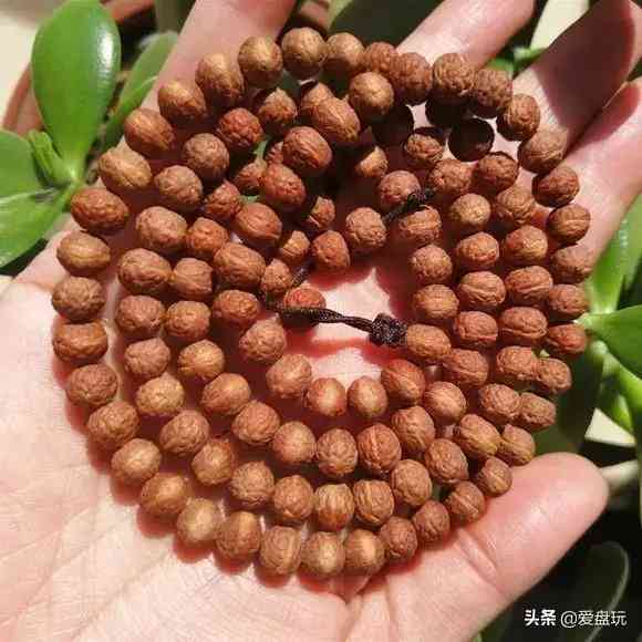 菩提手串種類(金剛菩提手串多少顆好)插圖18