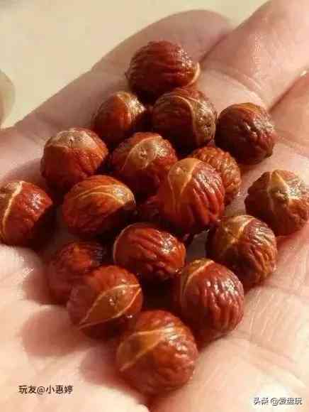 菩提手串種類(金剛菩提手串多少顆好)插圖19