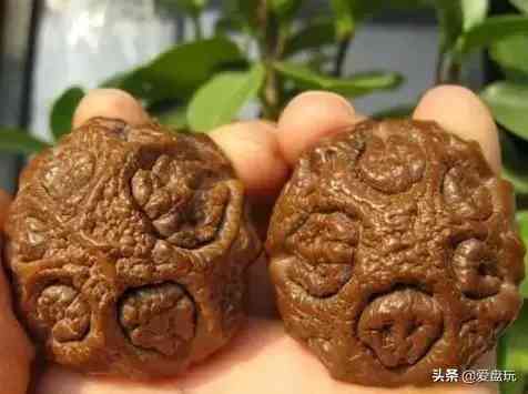 菩提手串種類(金剛菩提手串多少顆好)插圖29