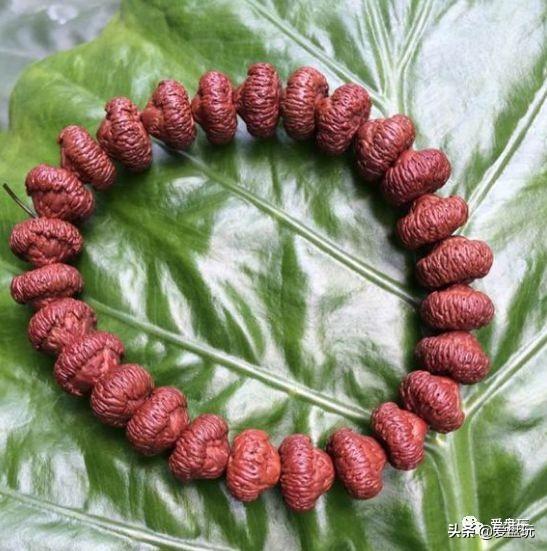 菩提手串種類(金剛菩提手串多少顆好)插圖67