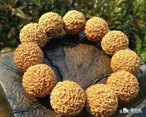 菩提手串種類(金剛菩提手串多少顆好)插圖71