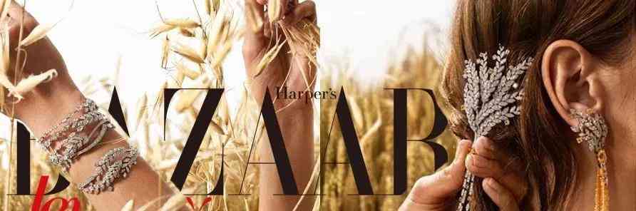 鉆石小鳥是什么檔次的(鉆石小鳥是什么檔次的品牌)插圖11