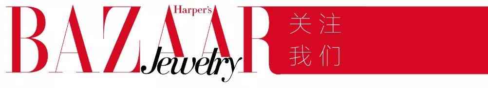 鉆石小鳥是什么檔次的(鉆石小鳥是什么檔次的品牌)插圖13