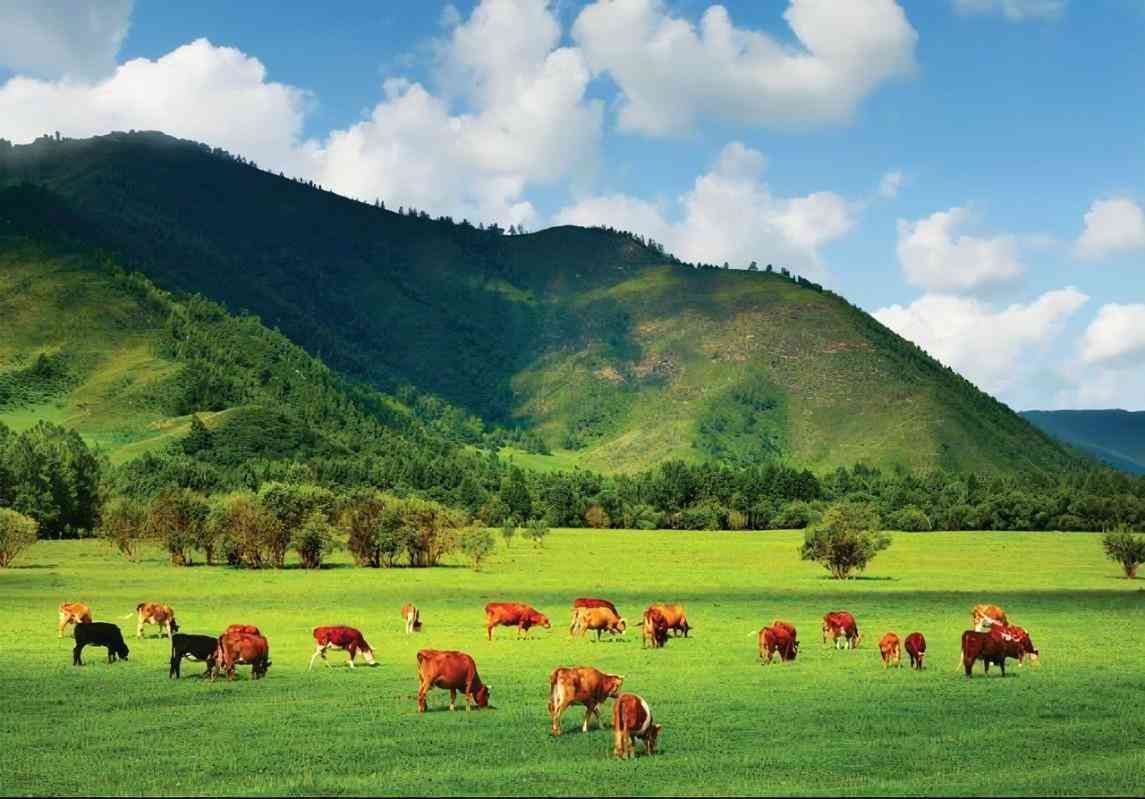 烏拉圭紫水晶貴嗎(烏拉圭紫水晶貴嗎值錢嗎)插圖3