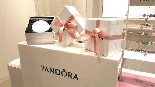 潘多拉屬于什么檔次(潘多拉屬于什么材質的)插圖15