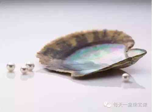 幾百塊錢的大溪地珍珠(大溪地珍珠14mm的價錢)插圖2