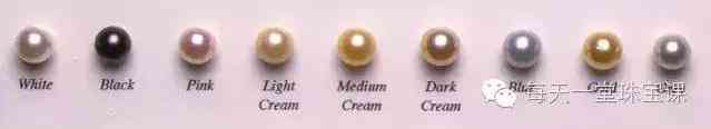 幾百塊錢的大溪地珍珠(大溪地珍珠14mm的價錢)插圖5