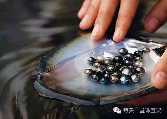 幾百塊錢的大溪地珍珠(大溪地珍珠14mm的價錢)插圖10