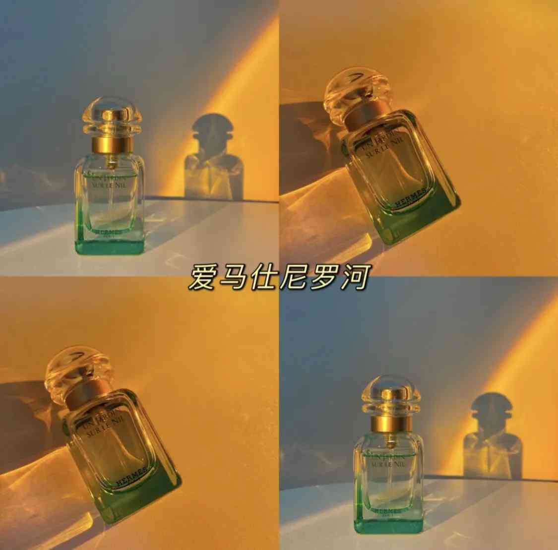 寶格麗香水屬于什么檔次(寶格麗香水價(jià)格一覽表)插圖5