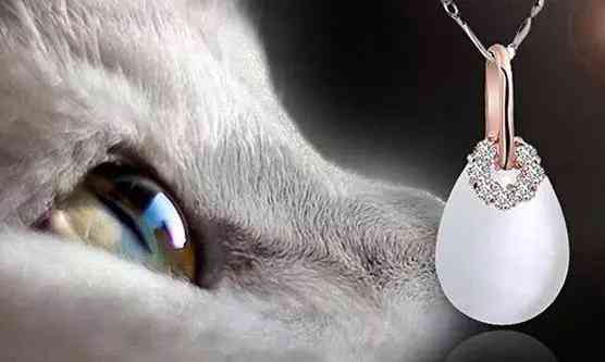 白貓眼石貴嗎(貓眼石怎么看真假辨別)插圖3