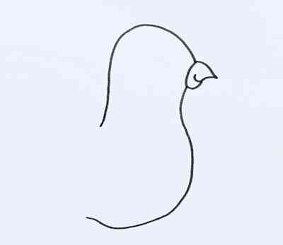 鴿子簡筆畫(鴿子簡筆畫涂色)