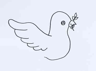 鴿子簡(jiǎn)筆畫(鴿子簡(jiǎn)筆畫涂色)插圖1