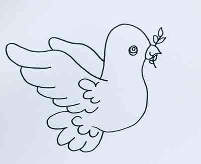 鴿子簡(jiǎn)筆畫(鴿子簡(jiǎn)筆畫涂色)插圖2