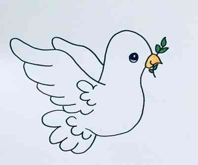 鴿子簡(jiǎn)筆畫(鴿子簡(jiǎn)筆畫涂色)插圖3