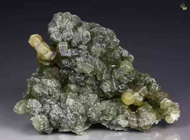 田黃石鑒定口訣(田黃石鑒定口訣是什么)插圖39