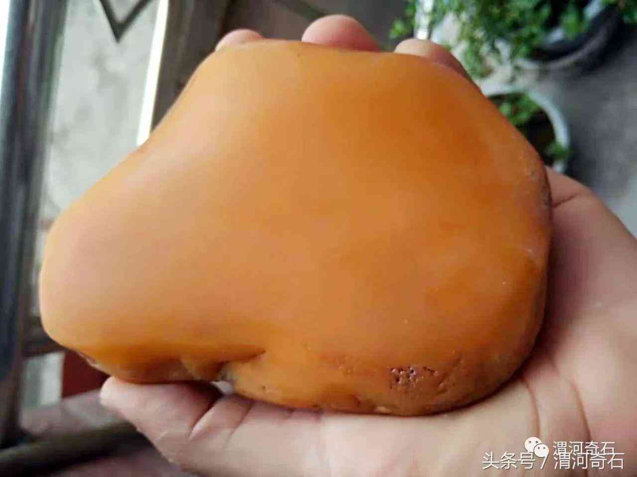 黃蠟石產(chǎn)地在什么地方(黃蠟石分布)插圖23