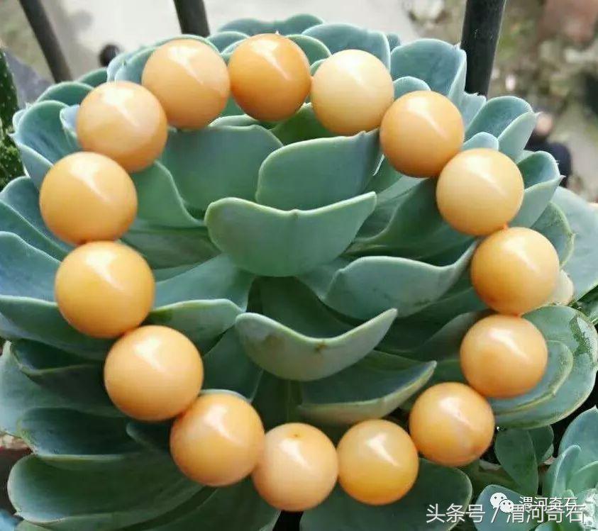 黃蠟石產(chǎn)地在什么地方(黃蠟石分布)插圖28