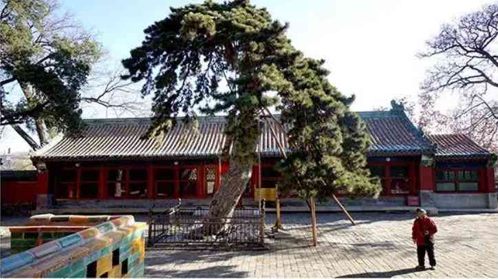 100億天價(jià)玉石(老玉件真品圖片大全)