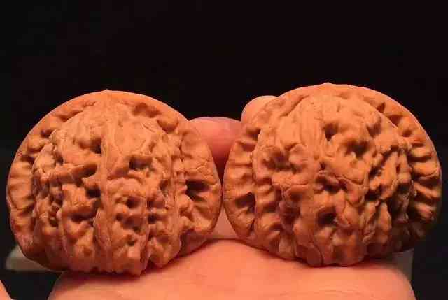 文玩核桃正確盤玩方法(文玩核桃正確盤玩方法手套)插圖12